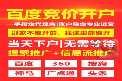 某某sem公司成功案例分享：从零到一的营销策略